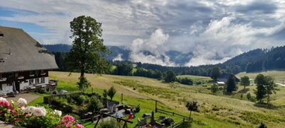 Urbanshof | Blick aus der Ferienwohnung