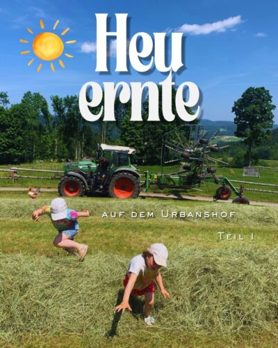 Heu jpg